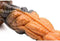 Ravager - Waved Tentacle Silicone Dildo