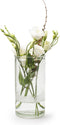 Cilinder 'Chloe' h20 d10 cm - Transparant/Helder/Doorzichtig glas - Bloemen/Boeket vaas - Decoratie