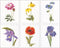Thea Gouverneur - Borduurpakket met telpatroon - 3085A - Voorgesorteerde DMC Garens - 6 Bloemportretten - Aida - 6 cm x 17 cm - DIY Kit