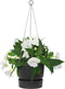 Elho Greenville Hangschaal 24 - Hangpot voor Buiten - 100% Gerecycled Plastic - Ø 23.5 x H 20.5 cm - Living black