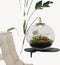 Growing Concepts DIY Duurzaam Ecosysteem Demeter lamp - H38xØ37cm