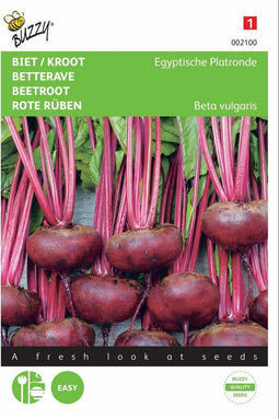 2 stuks - Buzzy - Bieten Egyptische platronde
