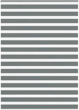 vidaXL - Zebra - rolgordijn - 165x200 - cm - stofbreedte - 160,9 - cm - donkergrijs