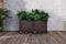 Feel Furniture Rotan Plantenbak – Ingebouwd Irrigatiesysteem – Model Eta