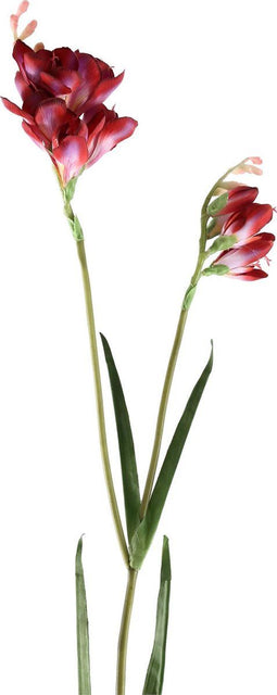 PTMD Garden Bloem Freesia Kunsttak - 70 x 12 x 96 cm - Rood