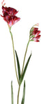 PTMD Garden Bloem Freesia Kunsttak - 70 x 12 x 96 cm - Rood