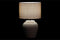 Bureaulamp DKD Home Decor Porselein Grijs Polyester Crème 220 V 50 W (28 x 28 x 44 cm) (2 Stuks)