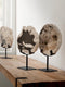 MUST Living Statue Fossil,33x26x11 cm, petrified wood on an base