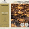 Kerstverlichting 384 LED treecluster classic warm 5 meter