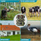 Exclusive by TW - Wildcamera - 4K Full HD - Nachtzicht - IP66 Waterdicht - 16 MP - Groen