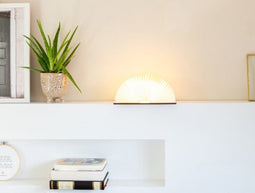 LEDR® Book Lamp Maple Brown M - 16,5 x 12,5 cm - Oplaadbaar - Inclusief USB kabel - Waterdicht 100% Rycyclebaar Papier - Boek Lamp