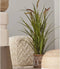 Emerald - Kunstplant Kattenstaart Gras kort 85cm - Kunstplanten voor binnen