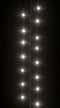 vidaXL - Lichtslinger - 3000 LED's - koudwit - 65 m