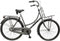Aldo 28 inch omafiets cargo 50cm 3v nardo grey + a-drager
