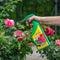 ECOstyle Spruzit-R Insecten Bestrijdingsmiddel Spray - Bladluis, Trips, Witte Vlieg - 100% Plantaardig - Binnen & Buiten - Gebruiksklaar - 750 ML