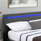Juskys Verona - Gestoffeerd bed - 120 x 200 cm - LED Verlichting - Donkergrijs