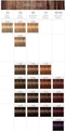 Schwarzkopf Igora Royal Absolutes 9-460 60ml