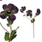 PTMD Garden Bloem Anemone Kunsttak - 35,5 x 11,5 x 68,5 cm - Paars