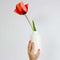 LAUED Nagelstickers - Nail Wraps - 16 Extreem Dunne Nagellak Stickers - Manicure Nail Art Folie - My Rose Garden