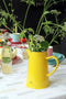 CABANAZ - schenkkan, keramiek, PITCHER, 1.6 liter, roze