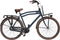 Avalon Cargo - Fiets - Mannen - Blauw - 53 cm