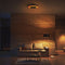 LED's light by Shada Moderno - Plafondventilator met verlichting - Afstandsbediening - 51 cm - Zwart