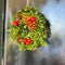 Echte Krans Sophie | 30 cm Ø | Kranz Herbst | krans voor binnen en buiten | deurkrans | Krans landelijk | Herfstdecoratie | Herfst krans | Pompoen decoratie