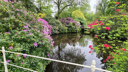 Customize it - Tuinschilderij bloemenvijver 130x70