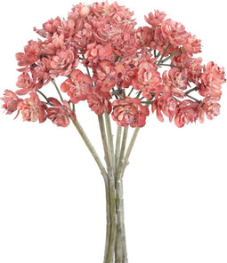 PTMD Succulent Plant Vetkruid Bos Kunsttak - 12 x 16 x 27 cm - Roze