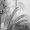 Komar - Fotobehang - Lac - Tropical - Black - & - White - 200x270 - cm