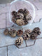 Dennenappels per bakje