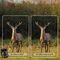 DENVER WCT8026 - Wildcamera - 48MP foto's 4K video WiFi - Groen