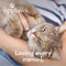 Applaws cat blik adult tuna / prawn kattenvoer 70 gr