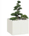vidaXL - Plantenbak - 100x100x80 - cm - staal - wit
