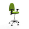 Piqueras y Crespo B2D05RP - Bureaustoel - Hoogteverstelbaar met armleuning - Pistache