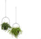 Lifa Living Moderne Plantenhangers - Set van 2 - Zwarte Plantenhouders - Metalen Hangende Bloempot -
