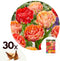 Plant in a Box - Tulipa Gudoshnik Double - Bloembollen x30 - Tulpen - Oranje - Dubbele bloemen