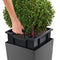 LECHUZA CUBICO PREMIUM 40 - Plantenbak - met uitneembare binnenbak - met bewateringssysteem - ALL-IN-ONE set met LECHUZA-PON - espresso metallic
