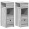vidaXL - Nachtkastjes - 2 - st - met - lade - 25x31x66 - cm - grijs - sonoma - eiken