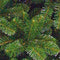 Triumph Tree Tuscan - Kunstkerstboom - Onderhoudsvrij - Groen - H120 x Ø81 cm