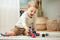 Stick-O City Voertuigenset - magnetisch speelgoed - 20 modellen - magneten speelgoed - baby blokken