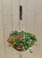 Hanging basket zomerbloeiers kleurenmix h25 cm