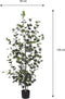 Mica Decorations Eucalyptus - Kunstplant in Bloempot - H150 x Ø30 cm - Groen