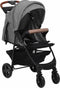 vidaXL - Kinderwagen - 2-in-1 - staal - lichtgrijs