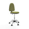 Piqueras y Crespo B0005RN - Bureaustoel - Hoogteverstelbaar - Groen
