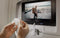 Twelve South AirFly SE - Bluetooth-adapter - 20 uur gebruik - Wit