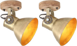 vidaXL Wand-/plafondlampen industrieel 2 st E27 20x25 cm messingkleur