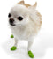 Schoenen Pawz Hond 12 Stuks Groen