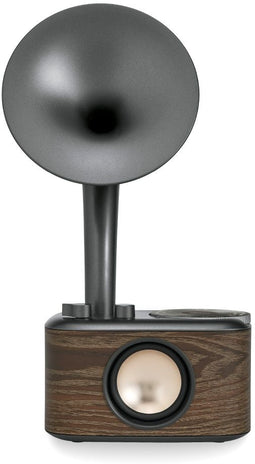 Sangean WR-45 - FM-radio - Bluetooth 5.0 - Zwart