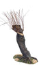Dickensville - Knotwilgen 8-12cm